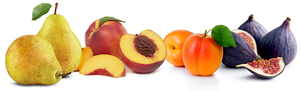 PERA PESCA ALBICOCCA FICHI 1024x310